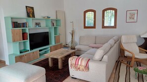 Smart TV, chimenea y libros 