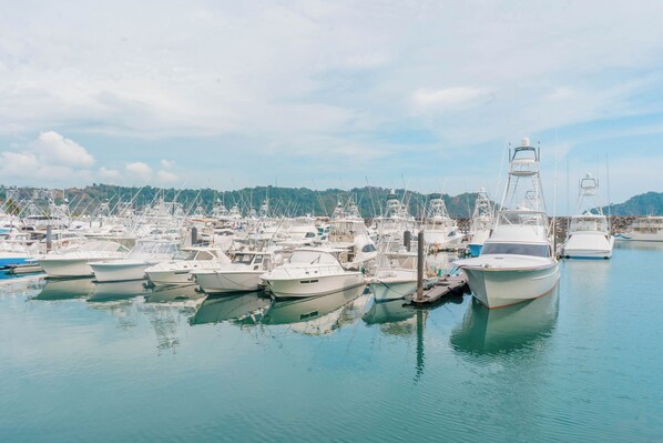 Marina/club náutico