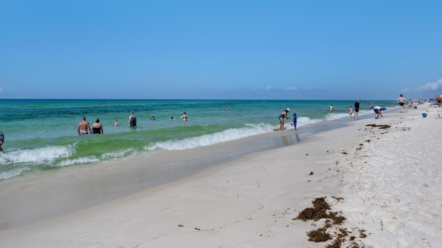 Pelican Isle 411