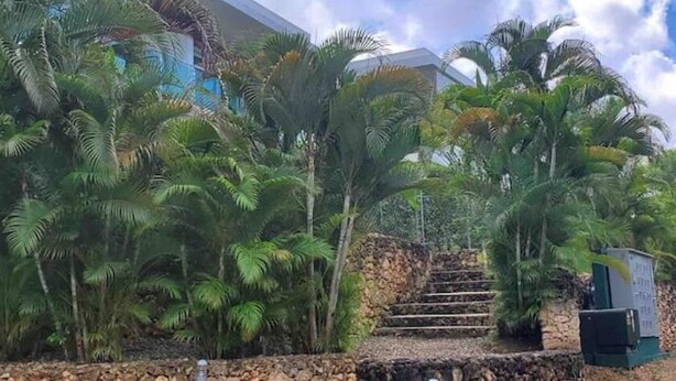 A staircase leading up to a building surrounded by lush tropical vegetation. - A luxurious and peaceful place with AC, free WIFI, private patio, and balcony! (Sosúa)