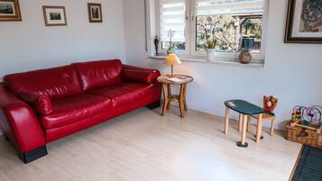 Smart-TV, Kamin