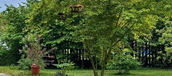 Vacation apartment Roswitha 120 m² in the Lüneburg Heath, large garden/terrace