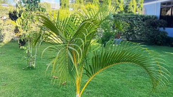 Vue sur le jardin
