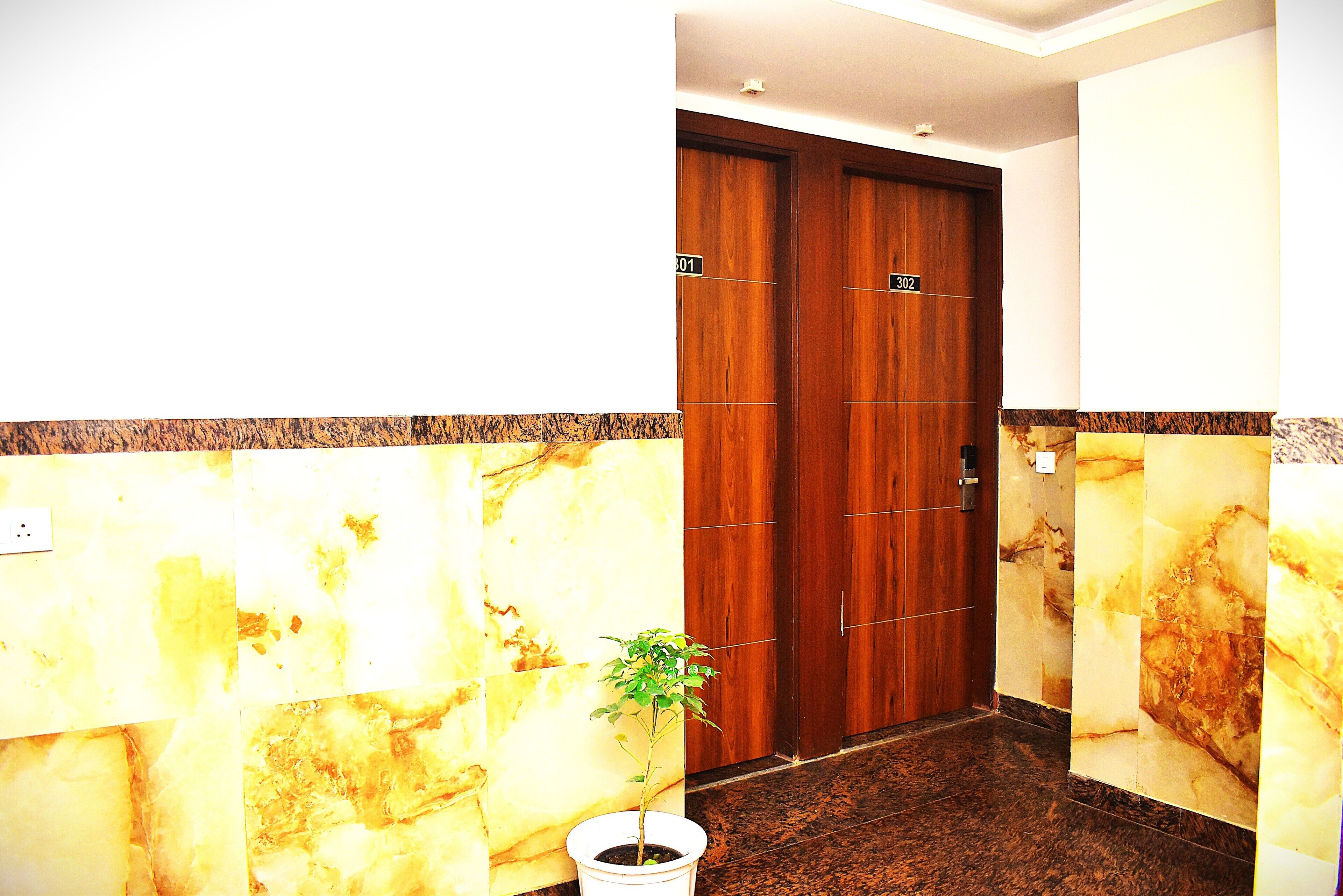 A hotel lobby with marble walls, a wooden double door, and a potted plant.