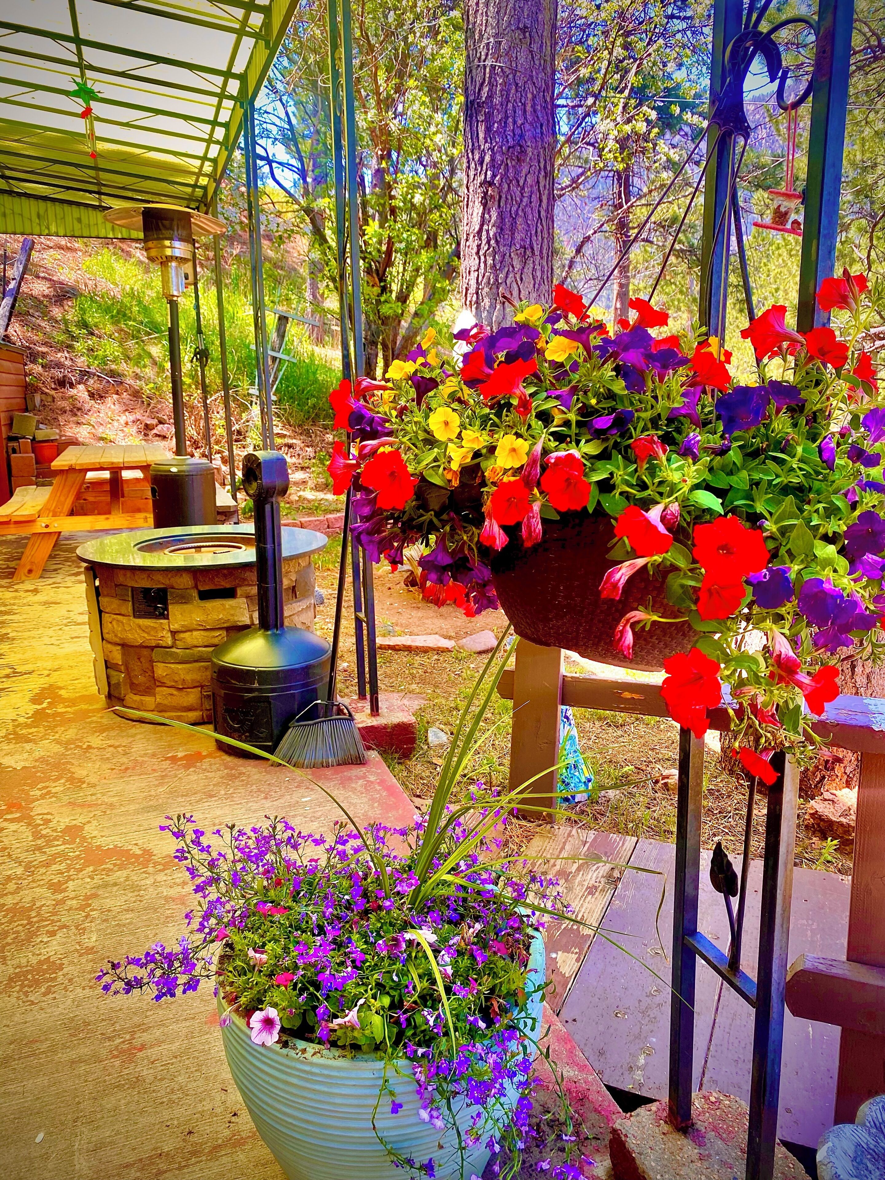 Enceinte de l’hébergement