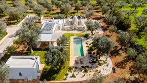An aerial view of a modern villa with a swimming pool, surrounded by olive trees and a well-maintained garden.