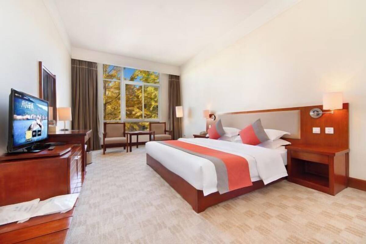 Een hotelkamer met een bed, een televisie, een bureau en een raam met uitzicht op bomen.
