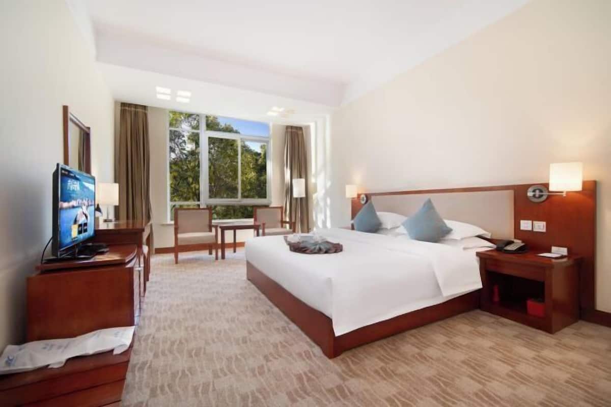 Een hotelkamer met een groot bed, nachtkastjes, een televisie en uitzicht op de omgeving.