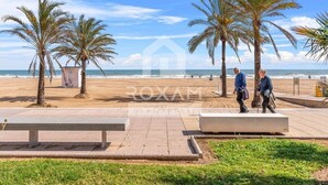 A beachside promenade with palm trees, benches, and a clear view of the ocean. - Ocean View Apartment (Platja de Gandia)