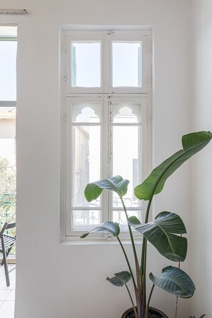 A potted plant with large leaves in front of a white window with a balcony view.