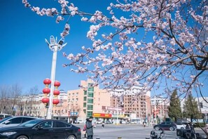 A street scene with cherry blossoms, a tall streetlight, and buildings in the background. - Manjiafu Express Hotel (Beijing)