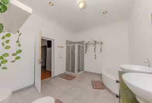 Shower, towels, soap, toilet paper