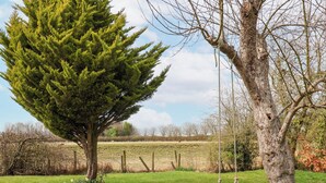A swing set in a grassy field with a large coniferous tree and a smaller deciduous tree. - The Barn - Poplar Farm (York)