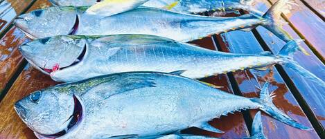 Varios peces sobre una superficie de madera.
