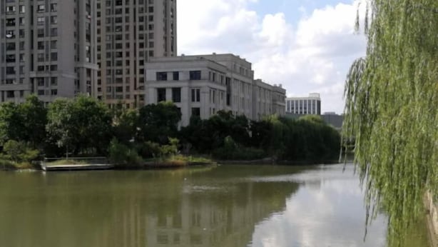 A calm river with a weeping willow on the right, surrounded by greenery and buildings in the background. - Rlan Boutique Hotel (Shanghai)