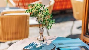 Une table avec une petite plante dans un vase en verre, deux livres et une tasse.
