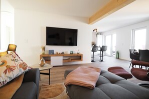 Télévision, cheminée, livres, chaîne hi-fi