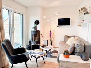 TV, fireplace, books, stereo