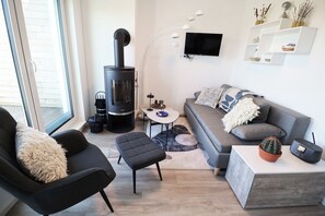 TV, fireplace, books, stereo