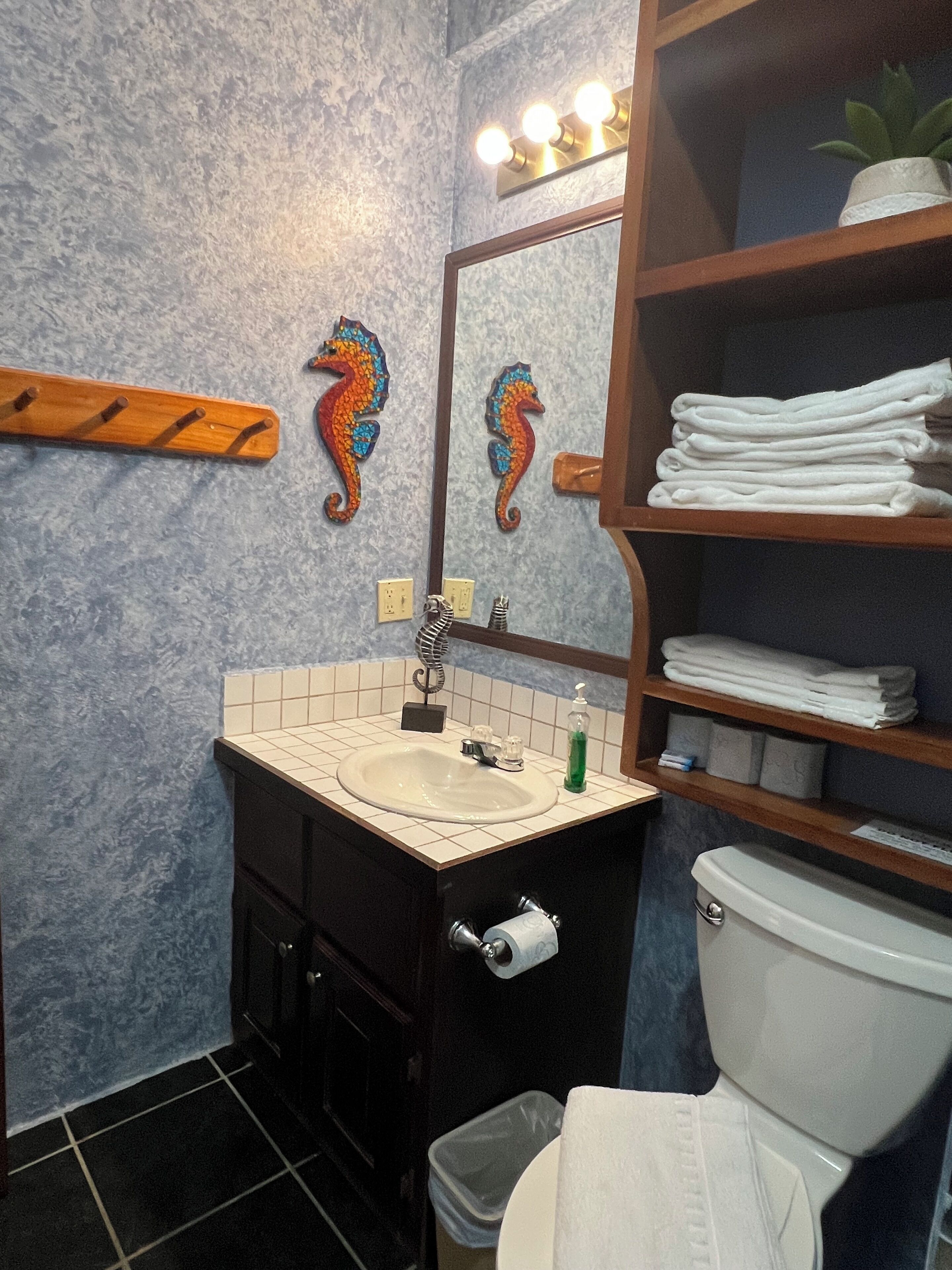 Shower, towels, soap, toilet paper
