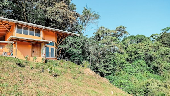 Unclassified image, 1 of 30, button