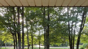 A covered outdoor area with a grassy lawn and trees.