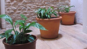 A corner with a textured stone wall, three terracotta pots with plants, and a wooden floor. - Apartment in La Alameda de Hércules (Sevilla)