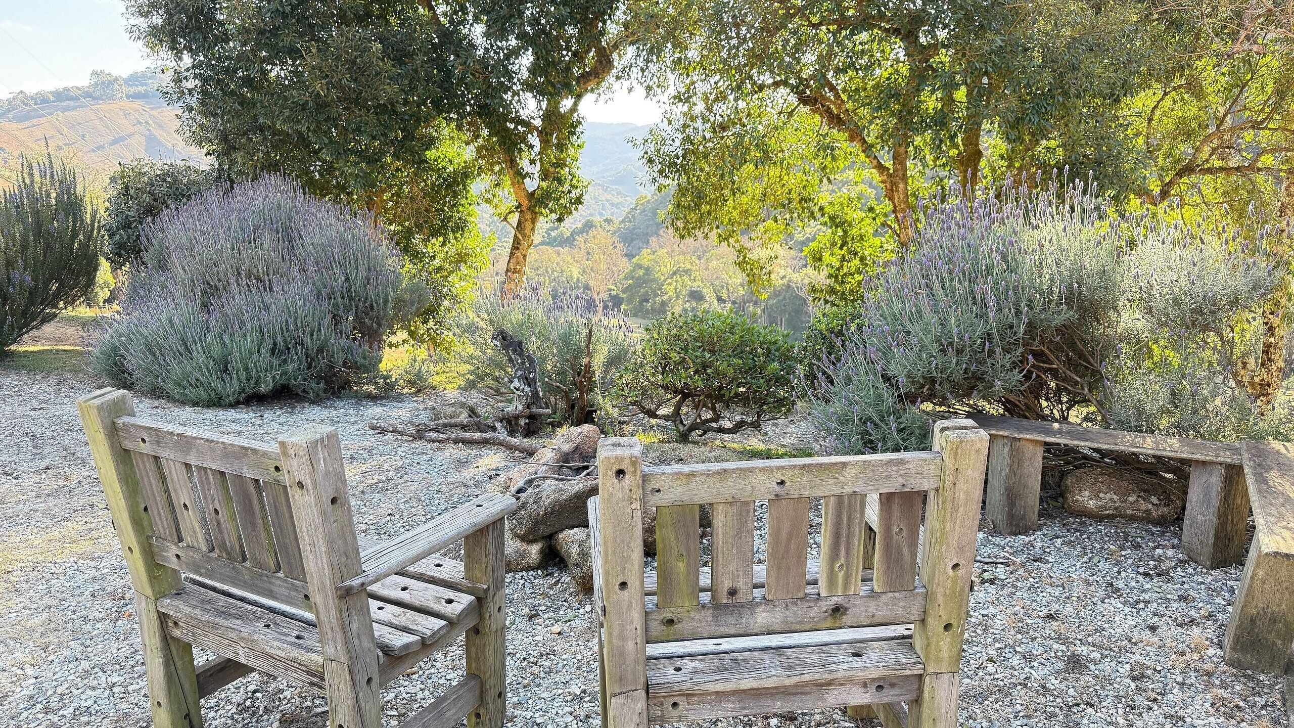 Cabin | Property grounds