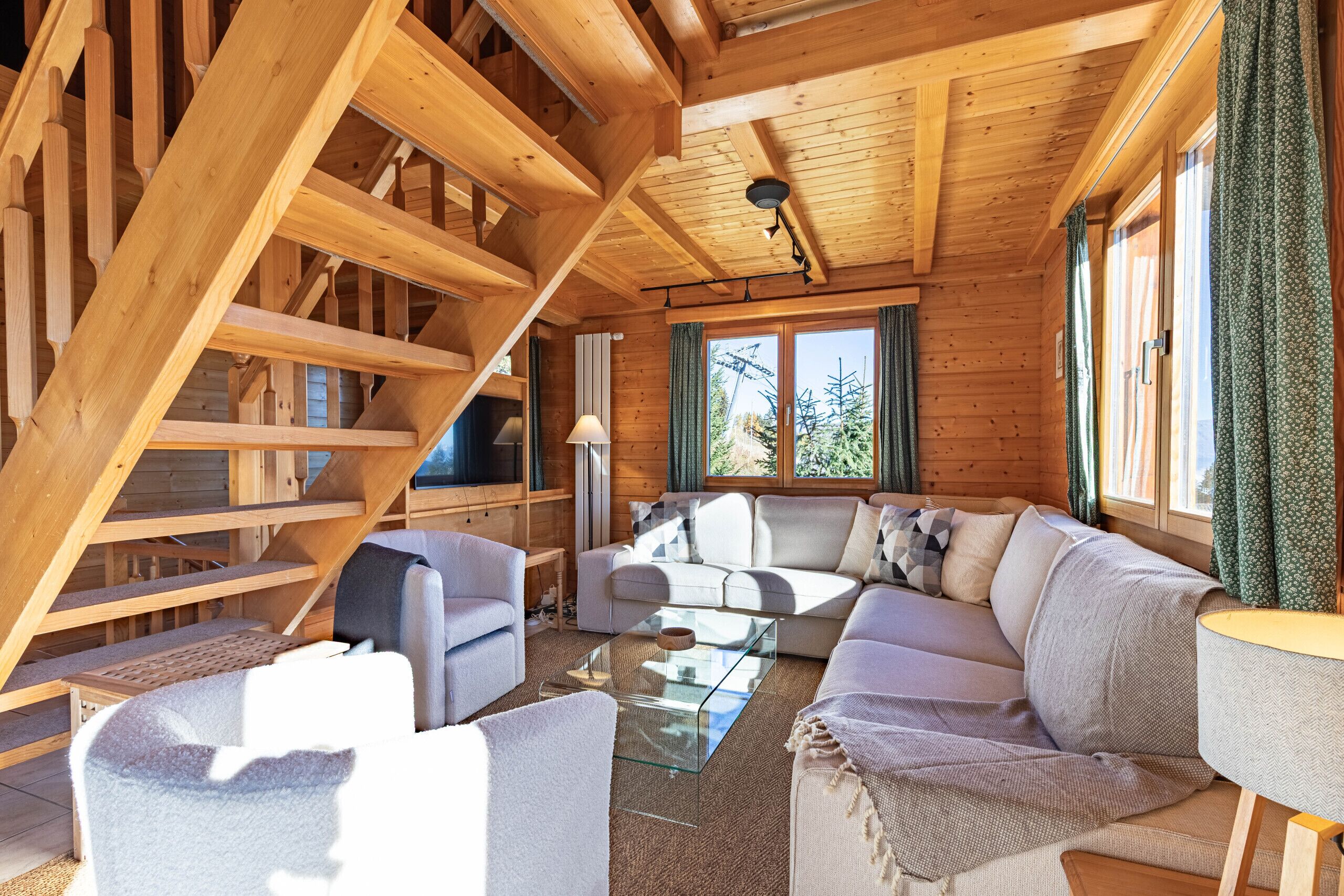 Télévision, cheminée, lecteur de DVD