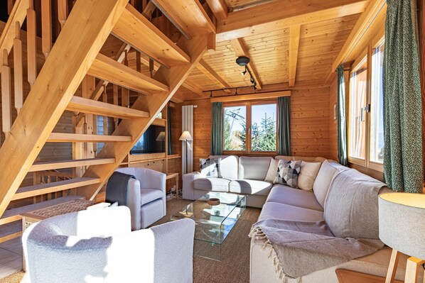 電視、壁爐、DVD 播放機