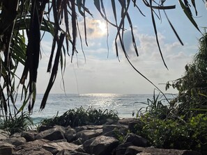 Nära stranden