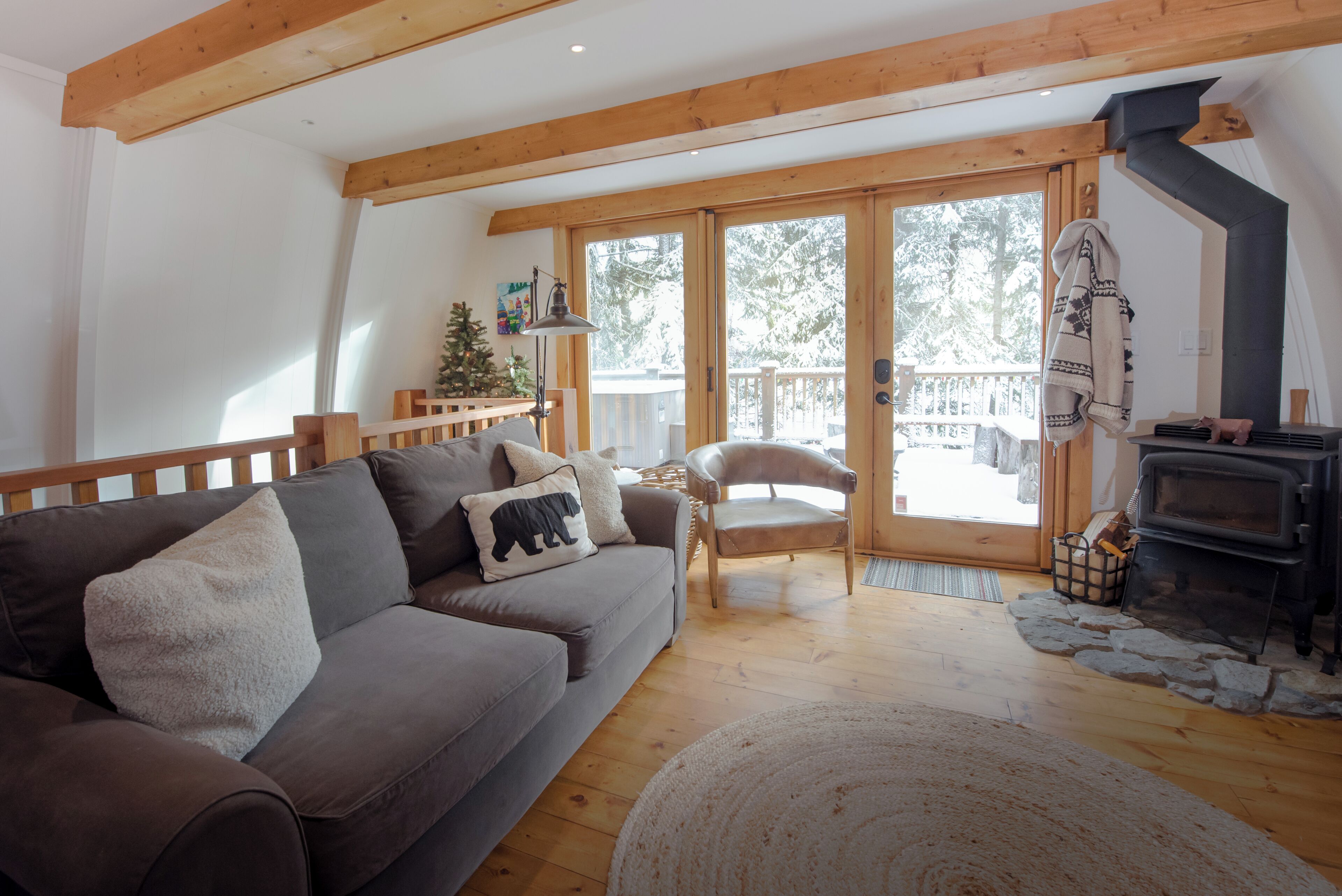 TV connectée, cheminée, livres