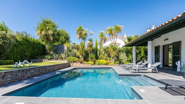 A rectangular swimming pool with a tiled deck, surrounded by palm trees and a white building with a tiled roof.
