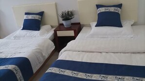Two single beds with white and blue bedding, a small bedside table with a plant, and a white wall.