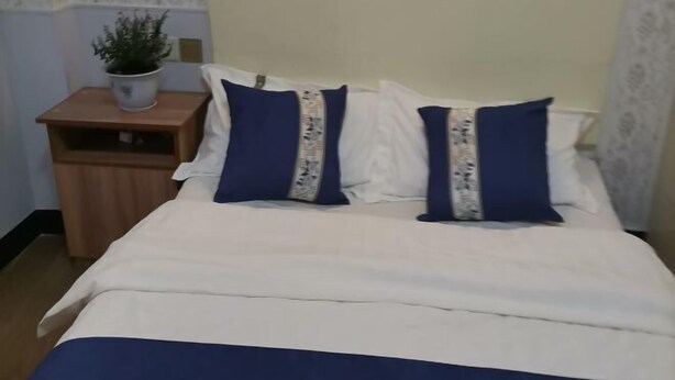A bed with white and blue bedding, two pillows with a patterned design, a wooden nightstand with a potted plant, and a cream-colored headboard.