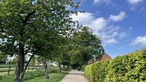 A gravel pathway flanked by trees and a hedge, leading towards a building with a red roof.
