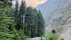 A cabin surrounded by dense forest and mountains. - The Woods - Tirthan Valley (Banjar)