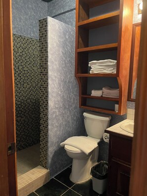 Een douche, handdoeken, zeep, toiletpapier