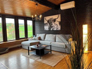 Smart TV, fireplace, books