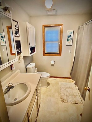 Secador de cabelo, shampoo