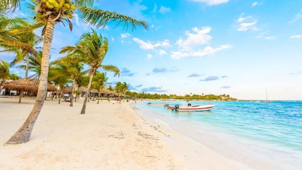 A beach with palm trees, a sandy shore, and a boat in the water. - Peaceful House, Private Pool, 2 cars included (Akumal)