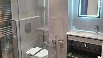 Un baño moderno con ducha de vidrio, tocador con espejo y un inodoro.