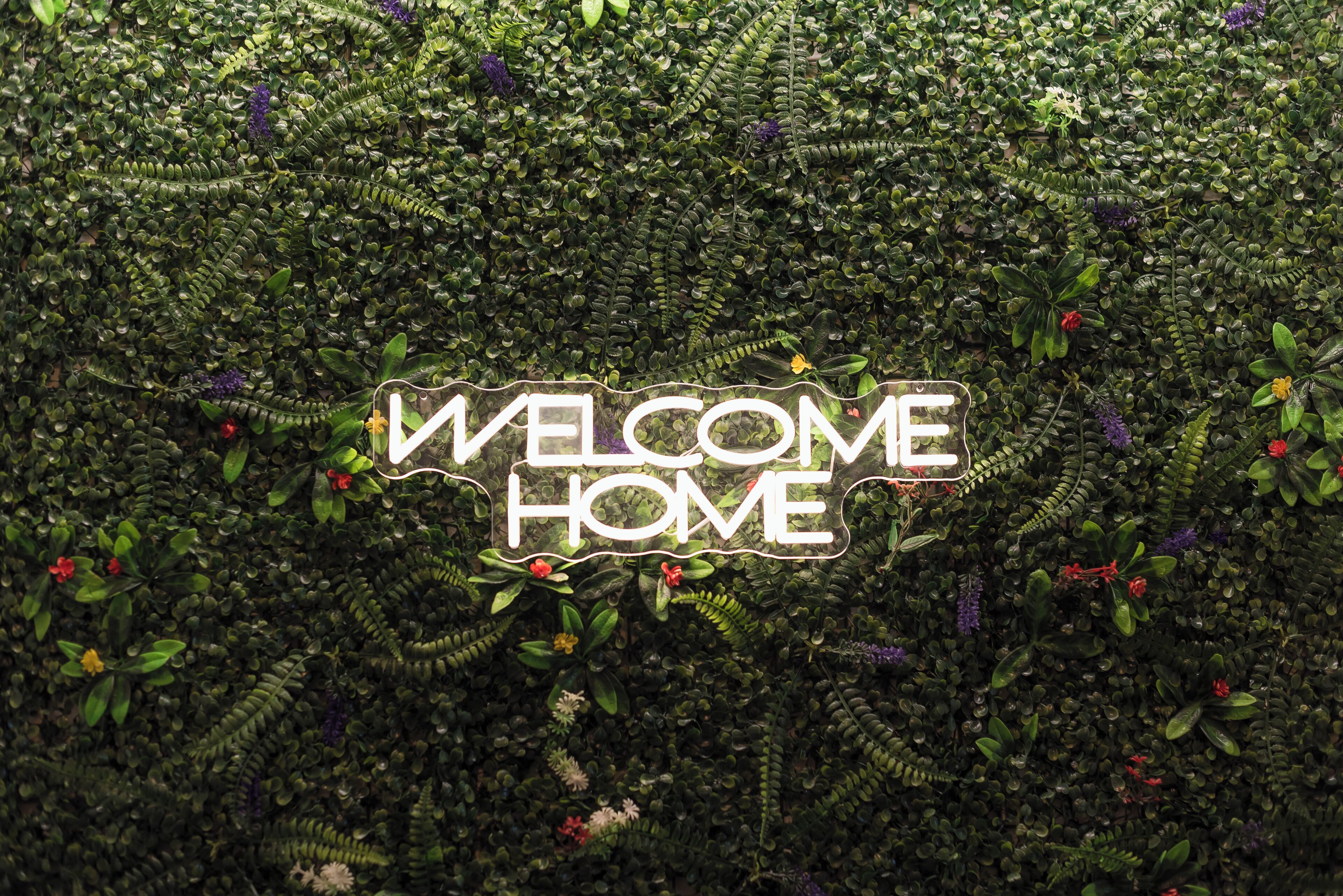 A welcome sign surrounded by dense foliage.