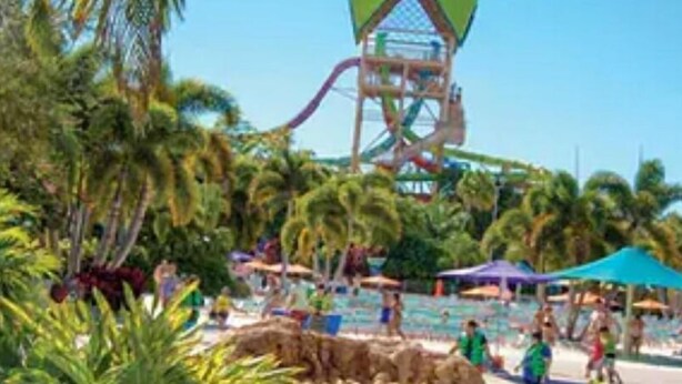 Un parque acuático con un tobogán gigante, palmeras y gente disfrutando de las instalaciones.
