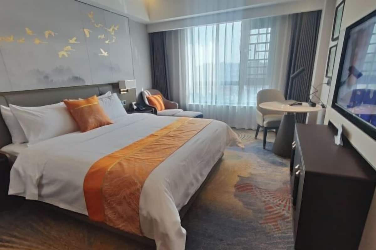 A hotel room with a large bed, a desk, a chair, a TV, and a wall with a bird mural.