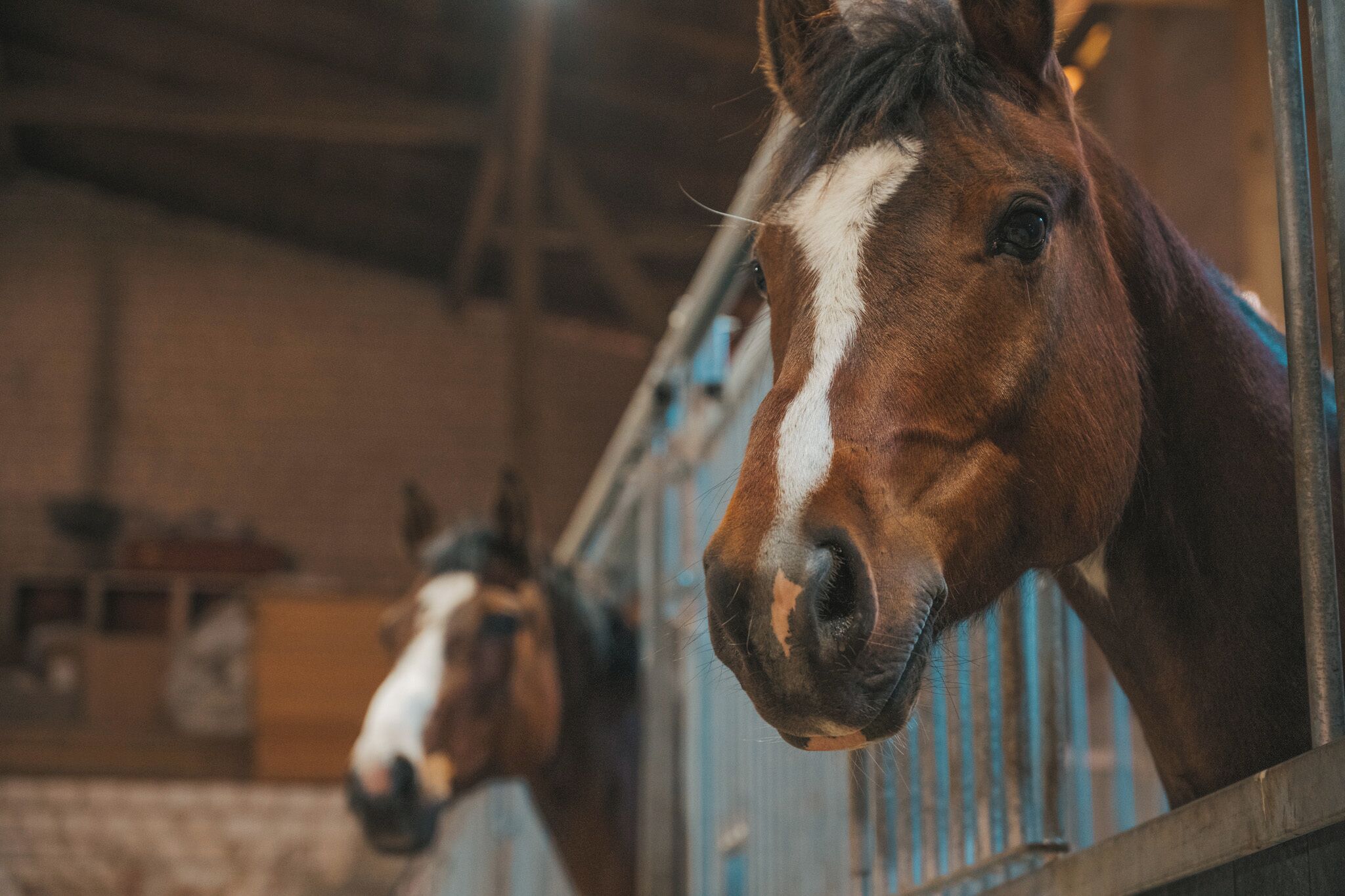 A stable with horses.