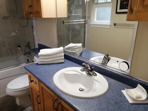 Hair dryer, towels, soap, toilet paper