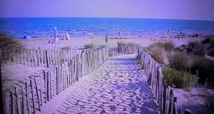 air-conditioned chalet 300 m from the village - pets allowed - beach 3 km