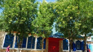 A building with large windows and a red door, surrounded by trees. - IU Hotel Yining Shanghai City (Yining City)