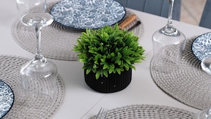 A dining table set with blue and white patterned plates, clear glassware, and a small green plant centerpiece.